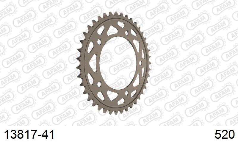 AFAM Rear Sprocket, 520 conversion, Alu - 41T (orig size) – Yamaha YZF-R1 / M 2015–2023