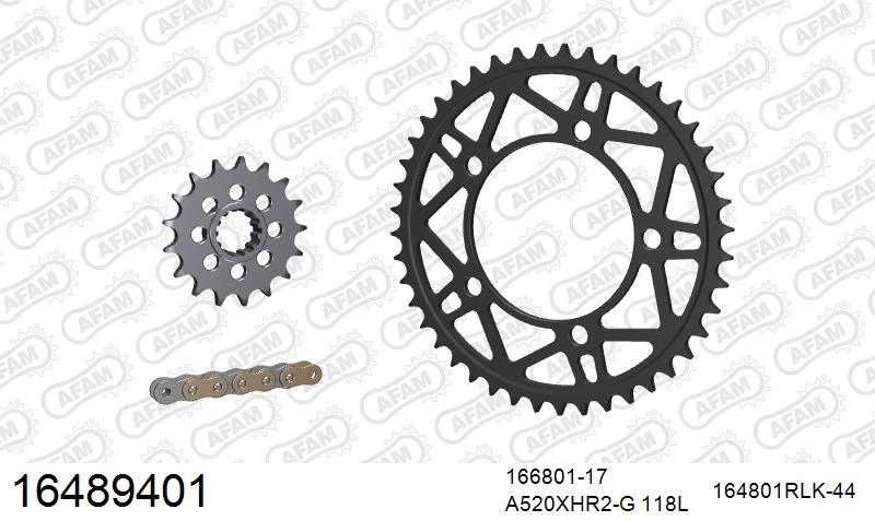 AFAM XS-ring Hyper reinforced Chain & Racing Superlight Steel Sprocket Kit, 520 conversion - Gold 118 link XS-ring Hyper reinforced chain, 1 – BMW S1000RR 2010–2011
