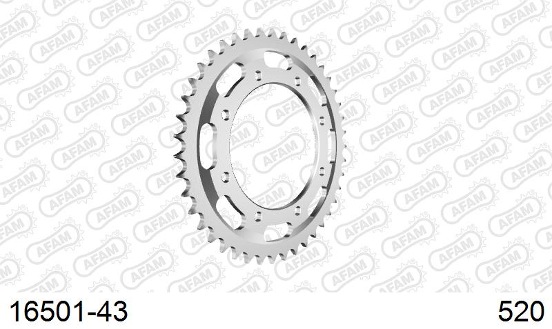 AFAM Rear Sprocket, 520 (OE Pitch), Steel - 43T (orig size) – Kawasaki KLR600 / E 1984–1995