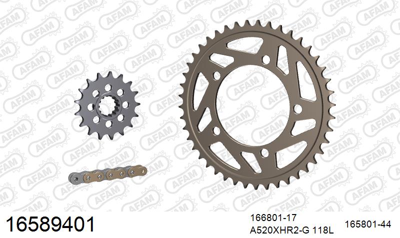 AFAM XS-ring Hyper reinforced Chain & Alu Sprocket Kit, 520 conversion - Gold 118 link XS-ring Hyper reinforced chain, 17T steel/44T Alu spr