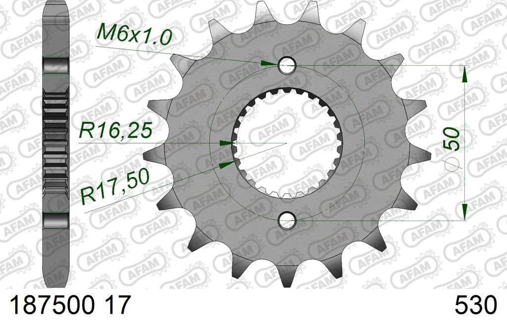 AFAM XS-ring Extra Reinforced Chain & Steel Sprocket Kit, 530 (OE Pitch) - Plain Steel 102 link XS-ring Extra Reinforced chain, 17T steel/38