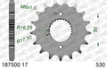 AFAM XS-ring Extra Reinforced Chain & Steel Sprocket Kit, 530 (OE Pitch) - Plain Steel 102 link XS-ring Extra Reinforced chain, 17T steel/38