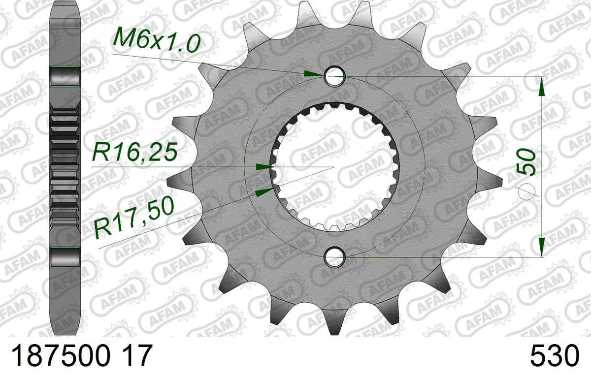 AFAM XS-ring Extra Reinforced Chain & Steel Sprocket Kit, 530 (OE Pitch) - Plain Steel 102 link XS-ring Extra Reinforced chain, 17T steel/38
