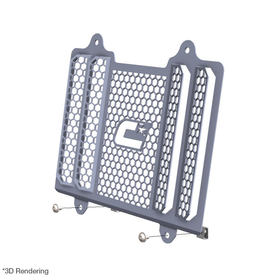 Crosspro Front Radiator Guard, Brushed Stainless – BMW G310GS 2017–2025