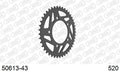 AFAM Rear Sprocket, 520 (OE Pitch), Steel - 43T (orig size) (50613-43)