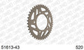 AFAM Rear Sprocket, 520 conversion, Alu - 43T, 102 links reqd