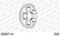 AFAM Rear Sprocket, 520 (OE Pitch), Steel - 41T (orig size), fits Oro,S