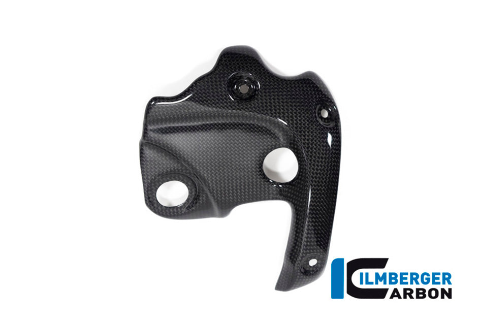 Ilmberger Carbon Exhaust Protector On The Manifold - Gloss Finish