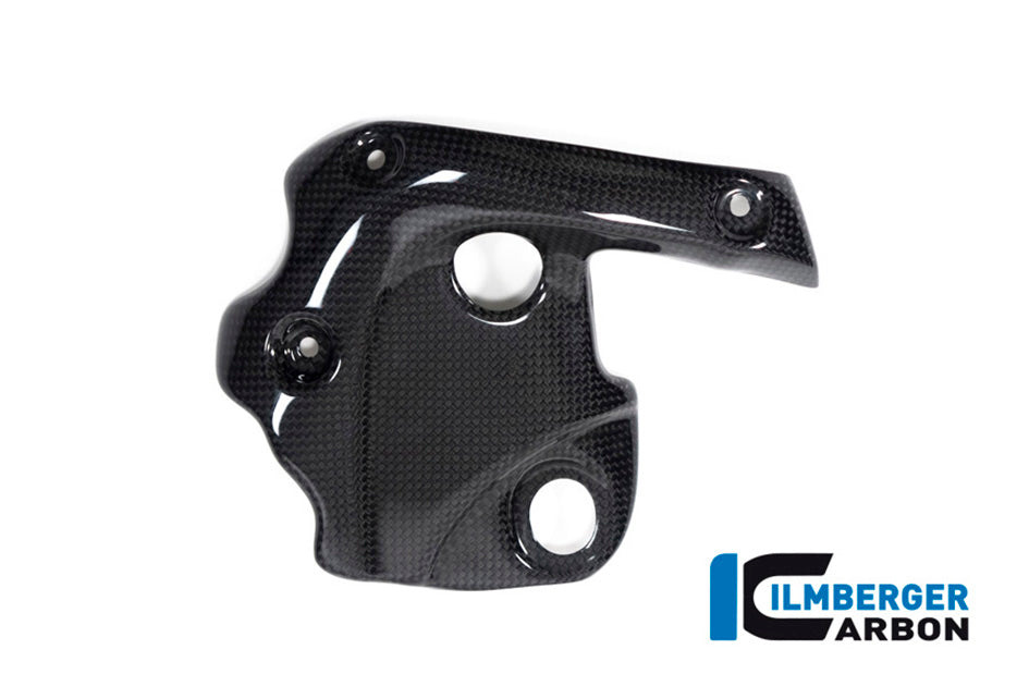 Ilmberger Carbon Exhaust Protector On The Manifold - Gloss Finish
