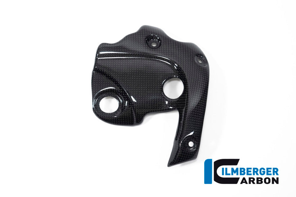 Ilmberger Carbon Exhaust Protector On The Manifold - Gloss Finish