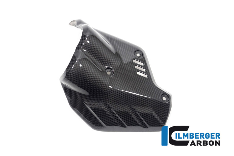 Ilmberger Carbon Exhaust Protector (Gloss Finish)