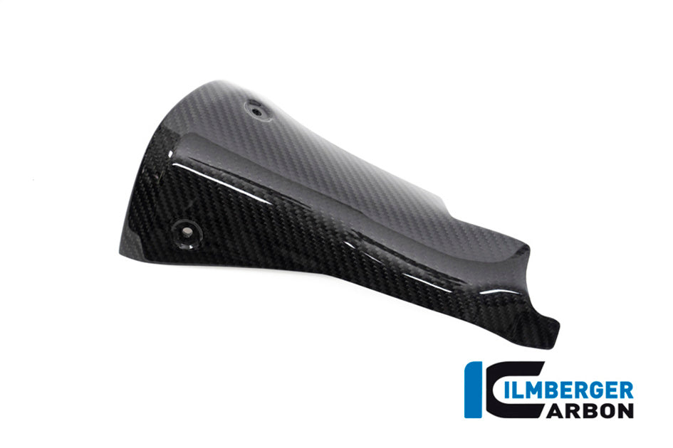 Ilmberger Carbon Front Silencer Protector – BMW R1250R 2019–2025 / BMW R1250RS 2019–2025