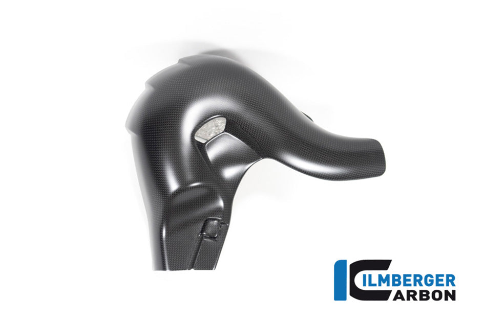 Ilmberger Carbon Exhaust Protector (Matt Finish) - (V4 / S Models)
