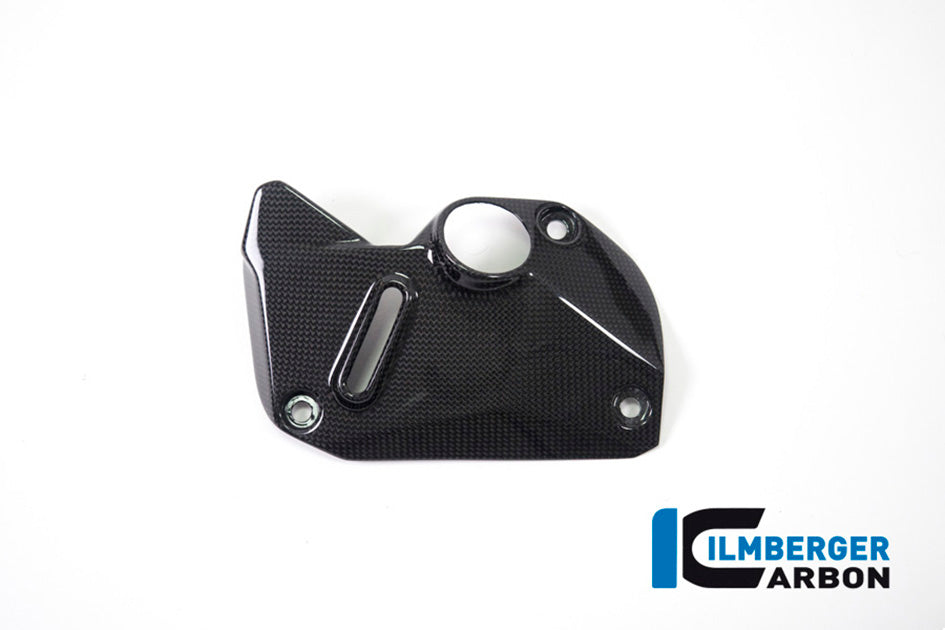 Ilmberger Carbon Cover Under The Frame (Right) - Gloss Finish – Ducati Monster 1200 / S 2017–2021
