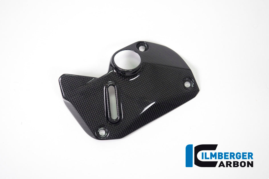 Ilmberger Carbon Cover Under The Frame (Right) - Gloss Finish – Ducati Monster 1200 / S 2017–2021
