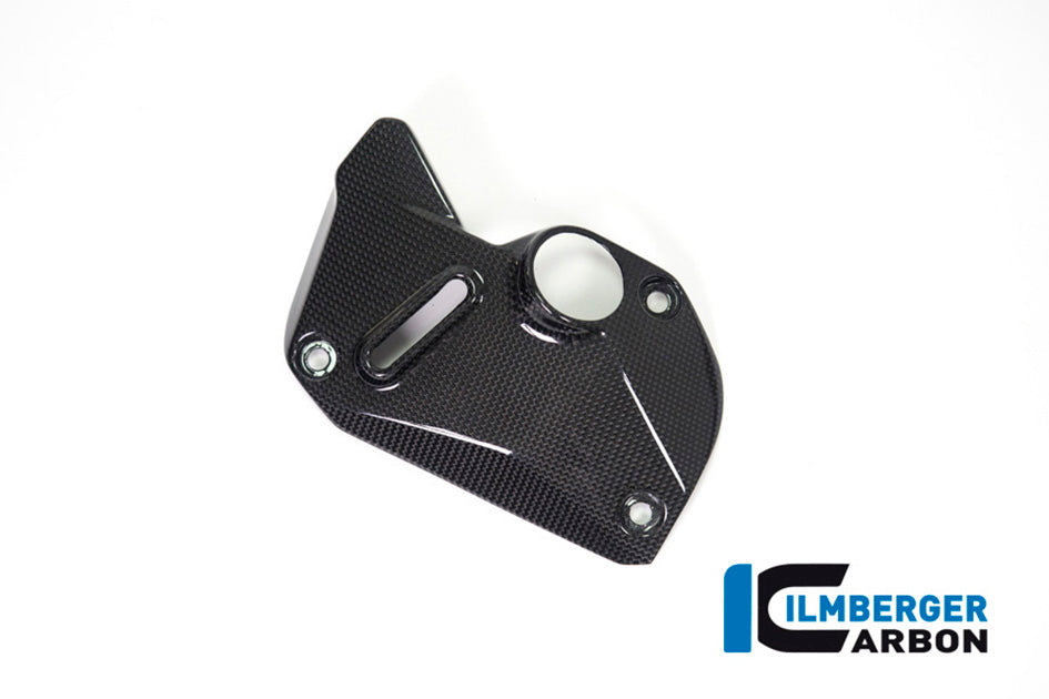 Ilmberger Carbon Cover Under The Frame (Right) - Gloss Finish – Ducati Monster 1200 / S 2017–2021