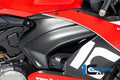 Ilmberger Carbon Cover Under The Frame Right Hand Side (Matt)