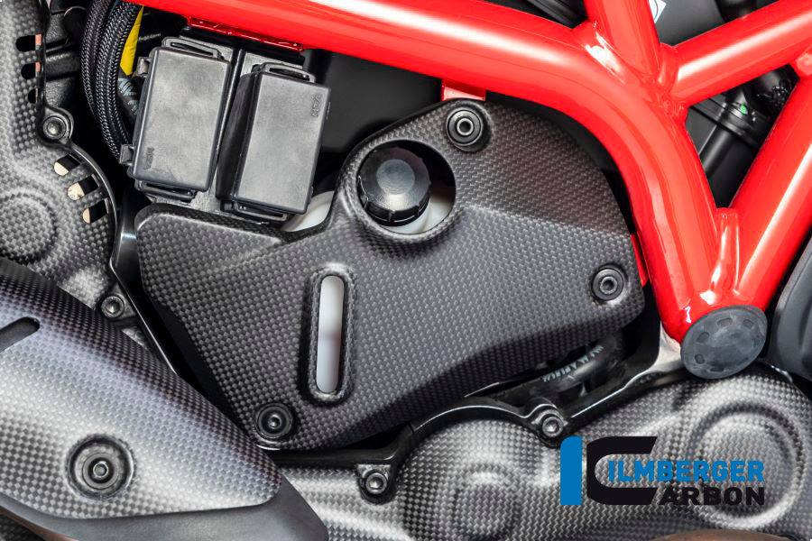 Ilmberger Carbon Cover Under The Frame (Right) - Matt Finish – Ducati Monster 1200 / S 2017–2021