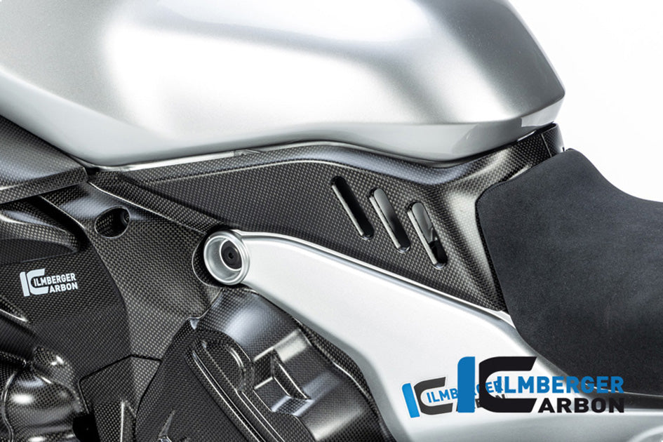 Ilmberger Carbon Cover Under The Tank LH (Matt Finish)