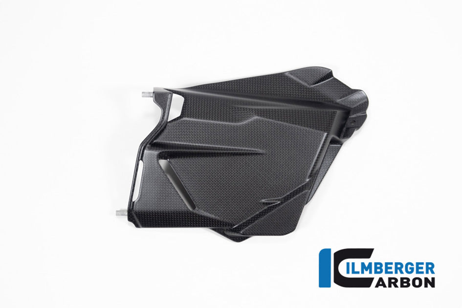 Ilmberger Carbon Battery Cover (Matt Finish)