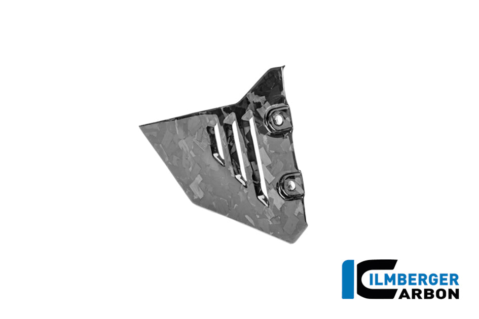 Ilmberger BDC Carbon Front Triangular Cover (Left Hand Gloss)