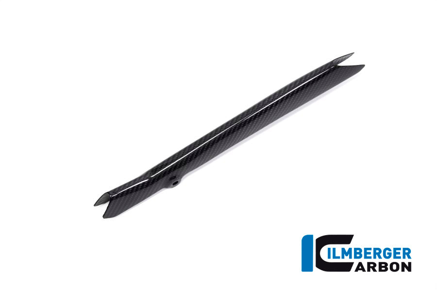 Ilmberger Carbon Rear Brake Pipe Cover