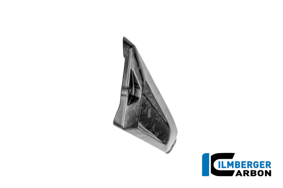 Ilmberger BDC Carbon Rear Triangular Cover (Left Hand Matt)