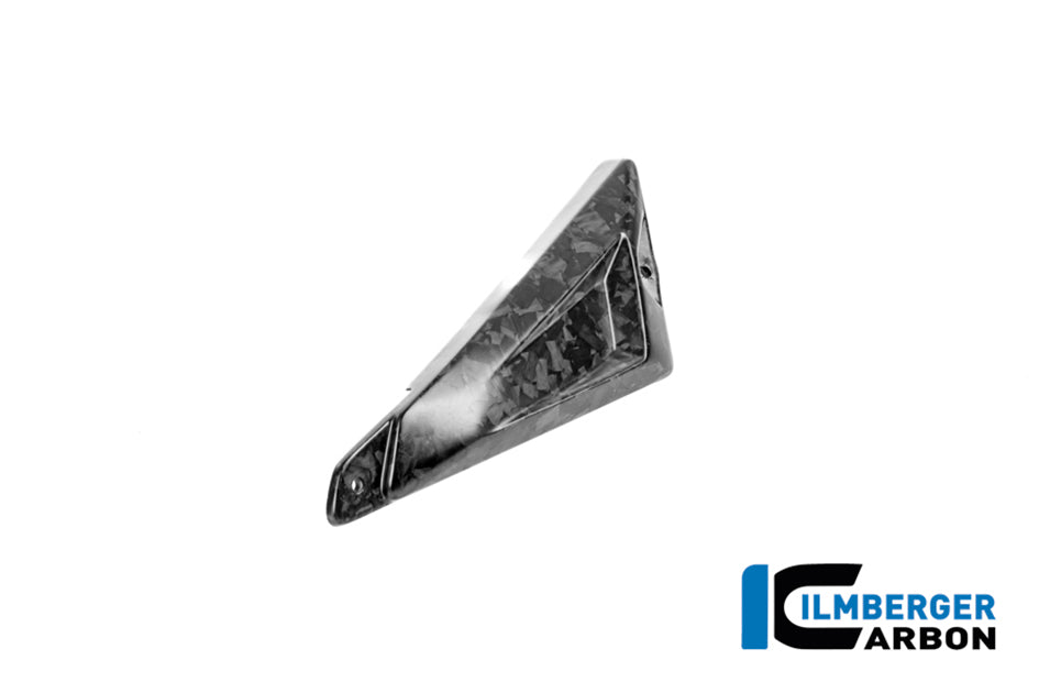 Ilmberger BDC Carbon Rear Triangular Cover (Right Hand Matt)