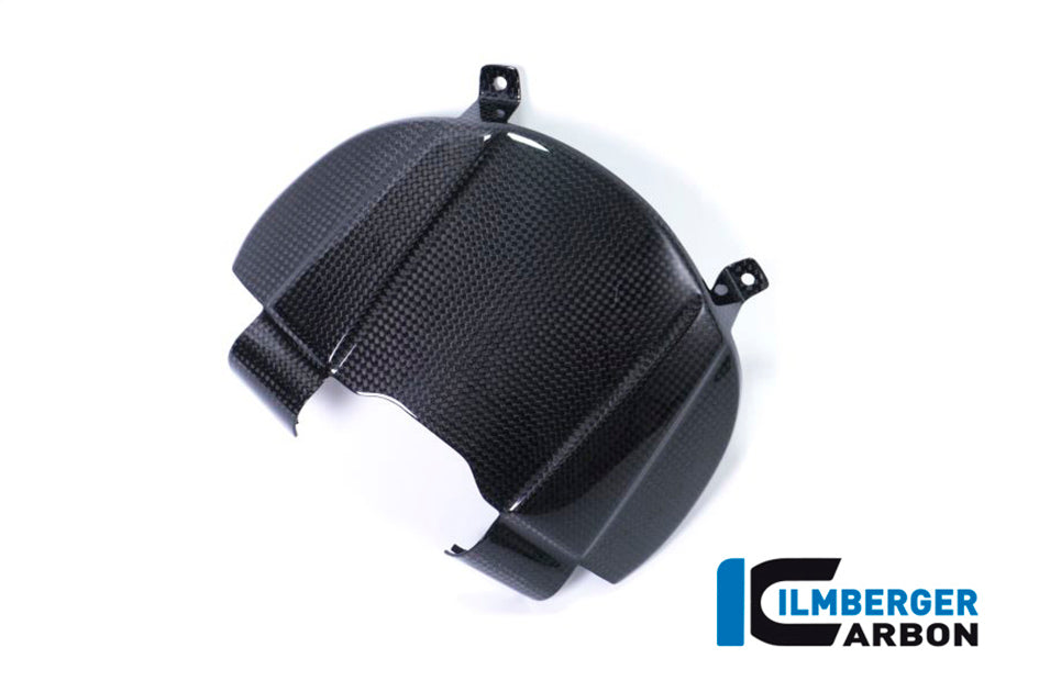 Ilmberger Carbon Cover Behind Headlight