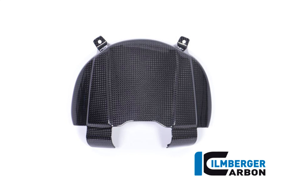 Ilmberger Carbon Cover Behind Headlight