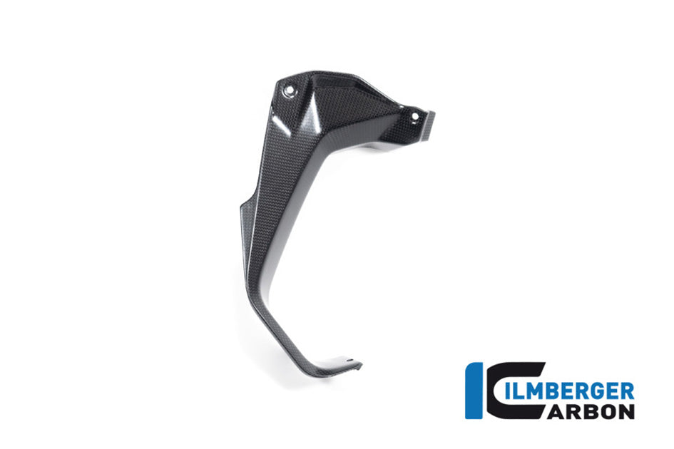 Ilmberger Carbon Cover Near The Instruments Left (Matt) - Compatible with all model variants