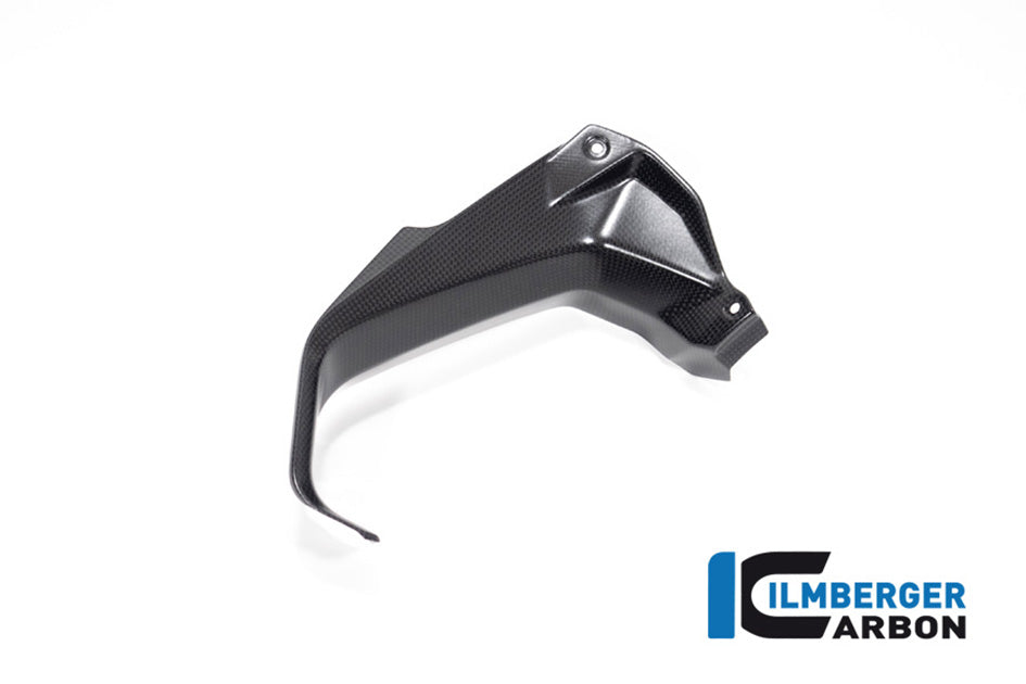 Ilmberger Carbon Cover Near The Instruments Left (Matt) - Compatible with all model variants