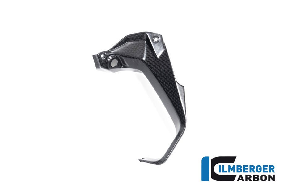 Ilmberger Carbon Cover Near The Instruments Right (Matt) - Compatible with all model variants