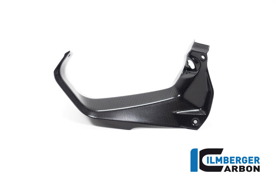 Ilmberger Carbon Cover Near The Instruments Right (Matt) - Compatible with all model variants