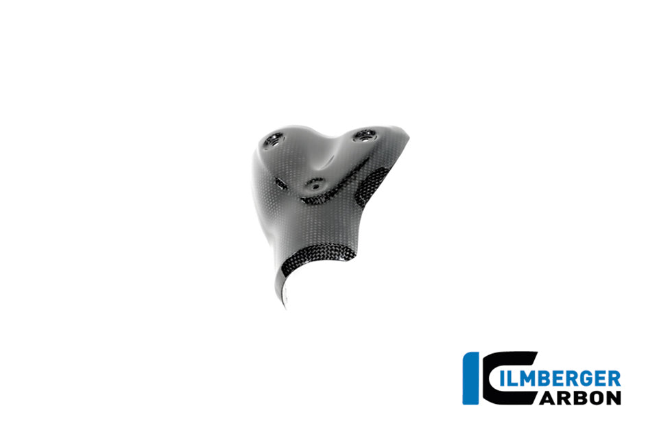 Ilmberger Carbon Exhaust Heat Shield (Gloss)