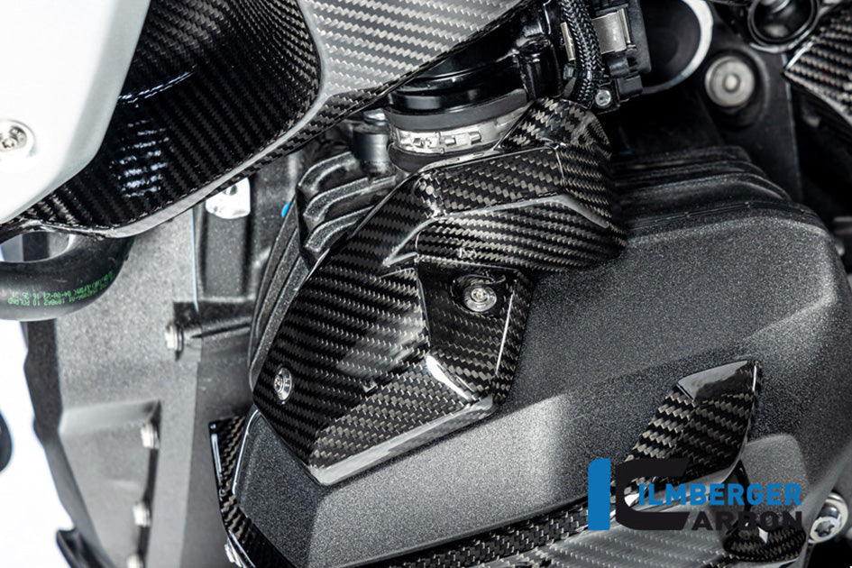 Ilmberger Carbon Injector Cover (Left Hand Gloss)