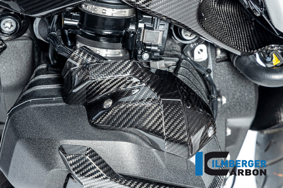 Ilmberger Carbon Injector Cover (Right Hand Gloss)