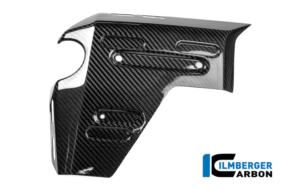 Ilmberger Carbon Radiator Cover (Left Hand Gloss)
