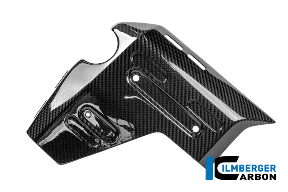 Ilmberger Carbon Radiator Cover (Left Hand Gloss)