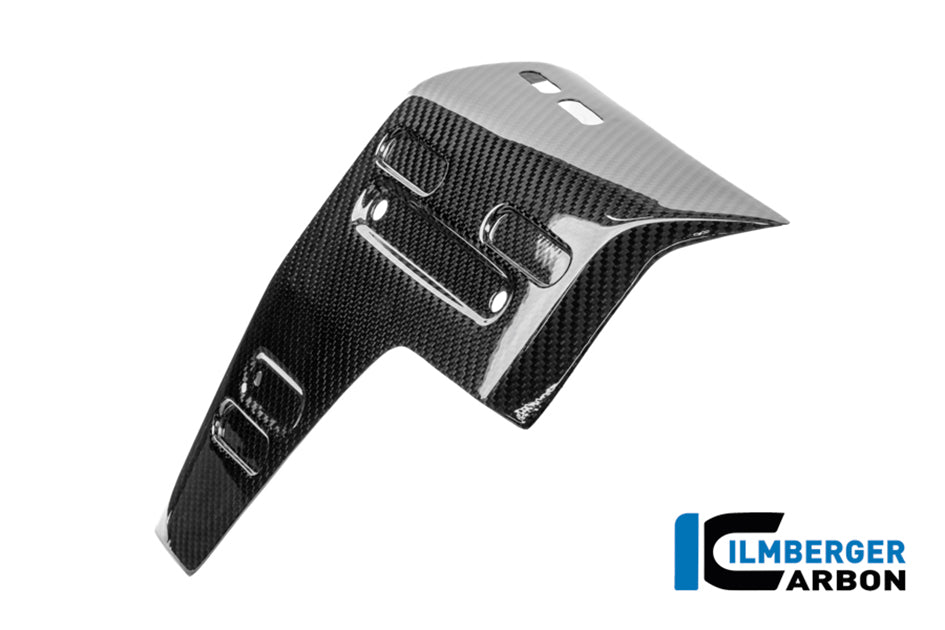 Ilmberger Carbon Radiator Cover (Left Hand Gloss)