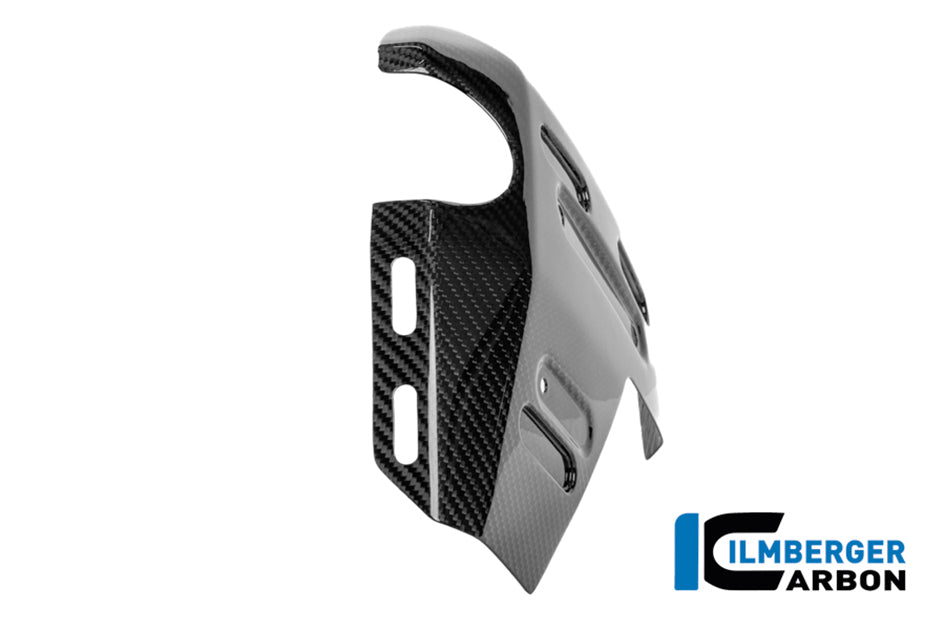 Ilmberger Carbon Radiator Cover (Left Hand Gloss)