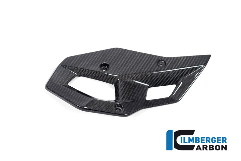 Ilmberger Carbon Heelguard (Right Hand Gloss)