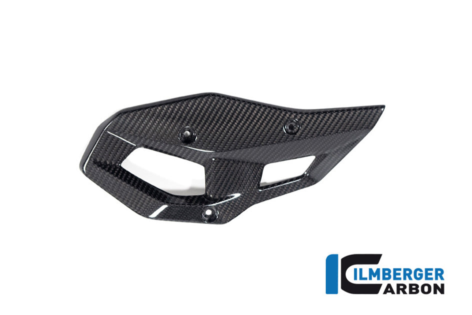 Ilmberger Carbon Heelguard (Right Hand Gloss)