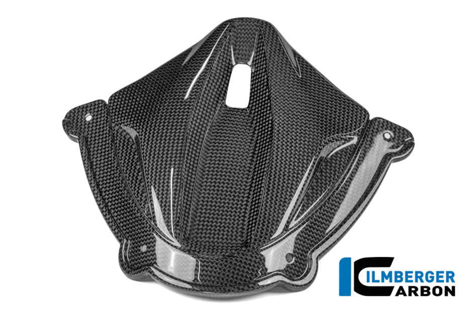 Ilmberger Carbon Instrument cover (Gloss) - (V4 / S / R Models)