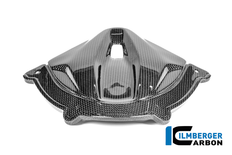 Ilmberger Carbon Instrument cover (Gloss) - (V4 / S / R Models)