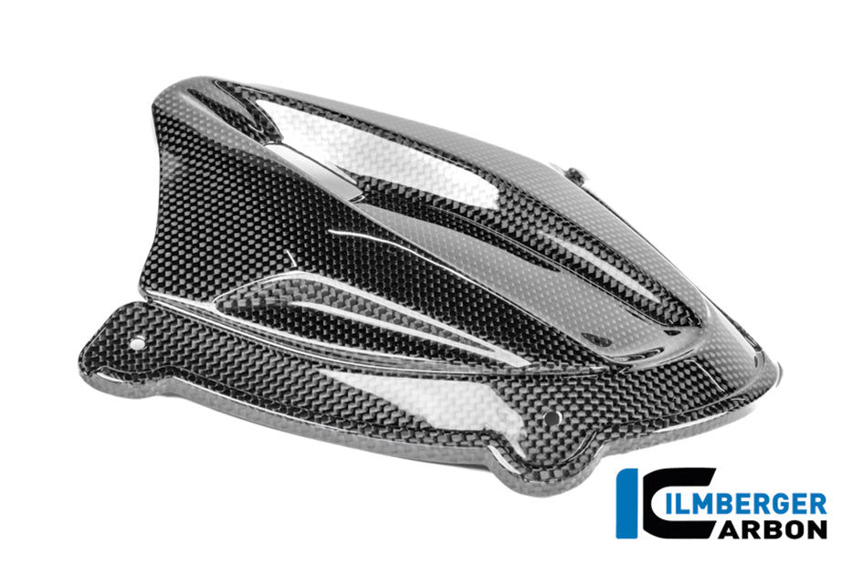 Ilmberger Carbon Instrument cover (Gloss) - (V4 / S / R Models)