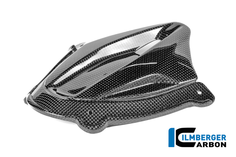 Ilmberger Carbon Instrument cover (Gloss) - (V4 / S / R Models)