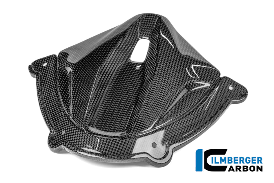 Ilmberger Carbon Instrument cover (Gloss) - (V4 / S / R Models)