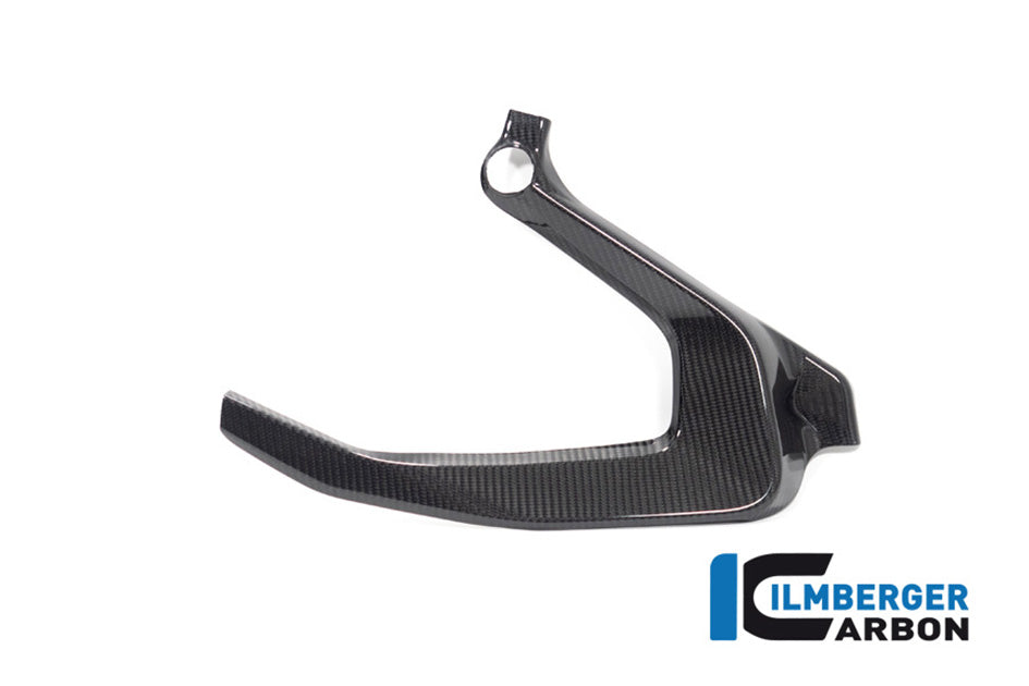 Ilmberger Carbon Frame Cover (Left Hand Gloss)