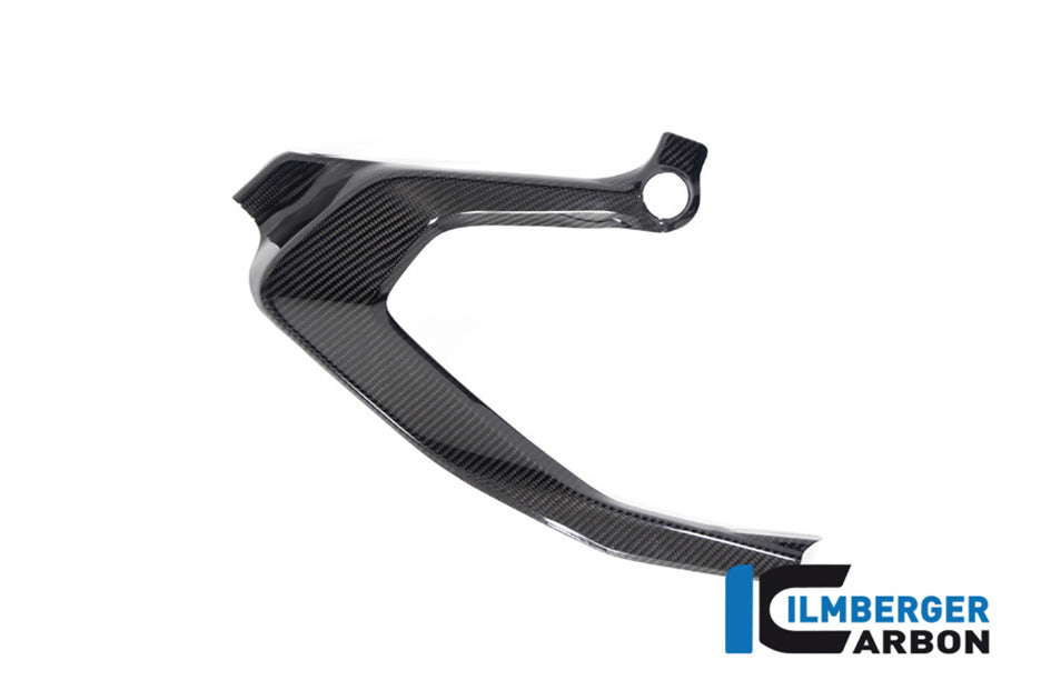 Ilmberger Carbon Frame Cover (Right Hand Gloss)